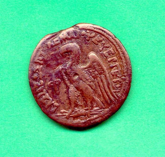 Coin of Ptolemy VIII Euergetes II